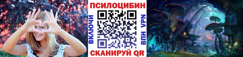 Купить где  Губкинский  Псилоцибиновые грибы ЛСД 