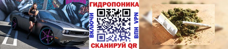 МАРИХУАНА план  Купить закладки  Губкинский 